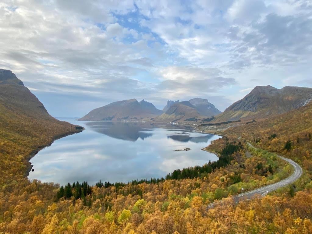 Ferrytale, Cozy, Spacious House On Senja Gryllefjord المظهر الخارجي الصورة