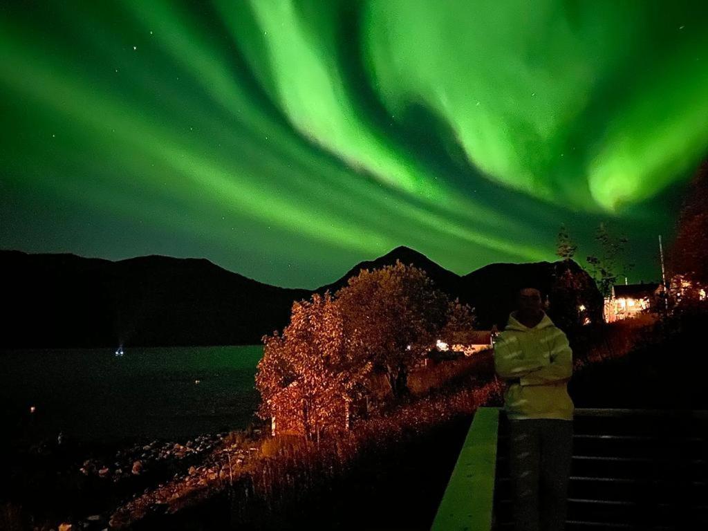 Ferrytale, Cozy, Spacious House On Senja Gryllefjord المظهر الخارجي الصورة