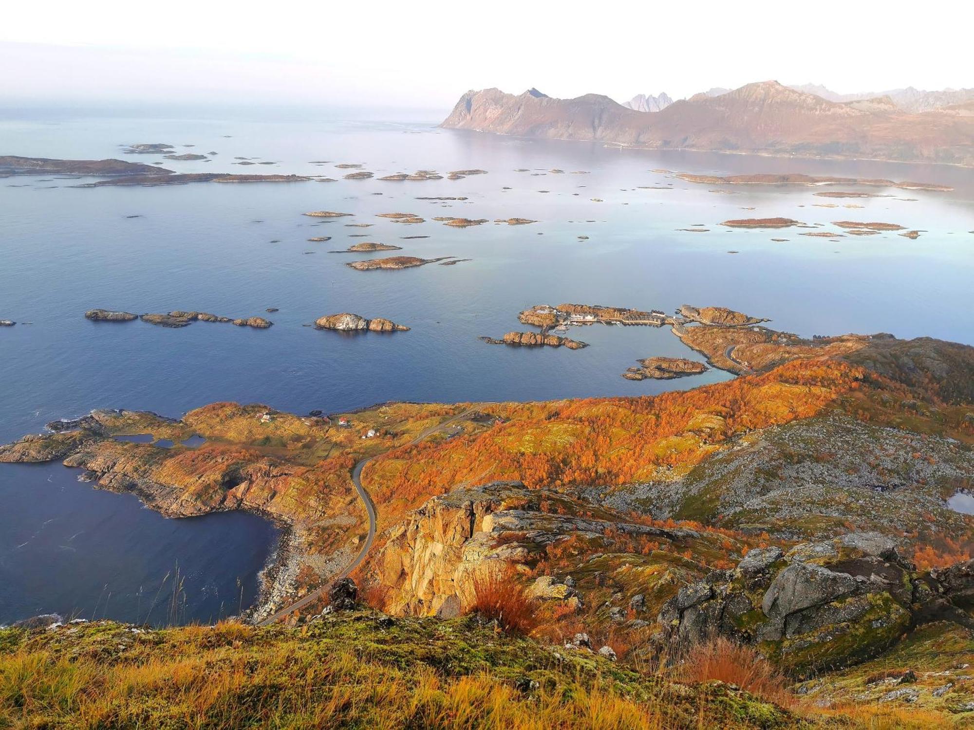 Ferrytale, Cozy, Spacious House On Senja Gryllefjord المظهر الخارجي الصورة