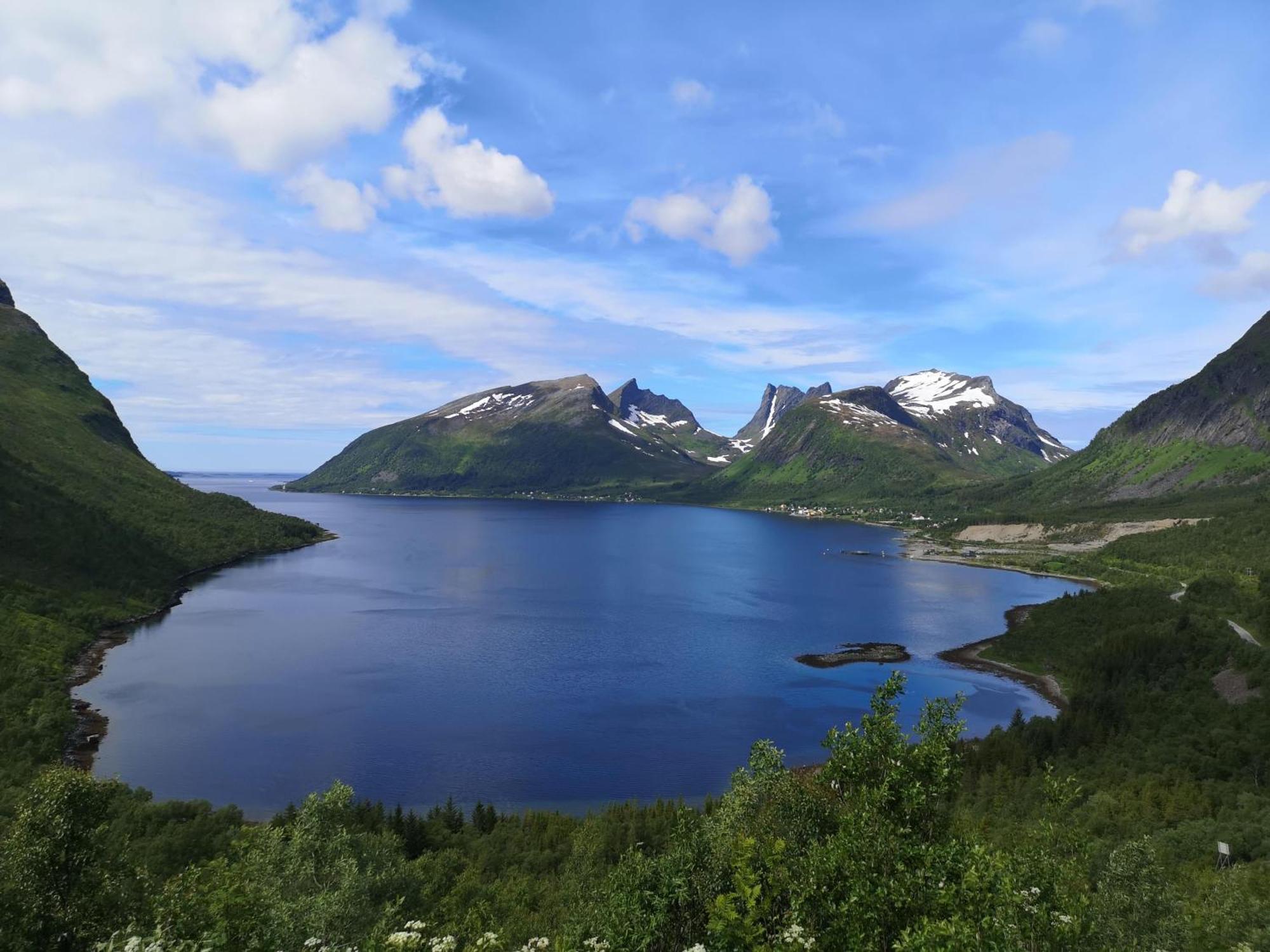 Ferrytale, Cozy, Spacious House On Senja Gryllefjord المظهر الخارجي الصورة